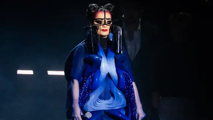 Fidèle à elle-même, Björk a assisté à l’éclipse dans une tenue absolument folle