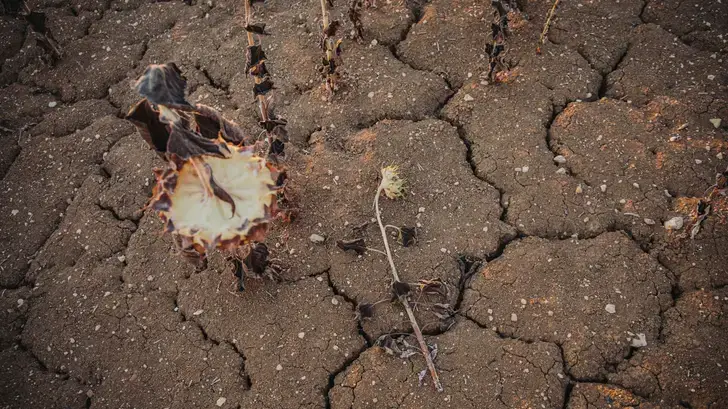 Le climat dantesque de l’été va-t-il s’inviter davantage (et persister) dans le débat pour 2027 ?